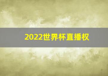 2022世界杯直播权