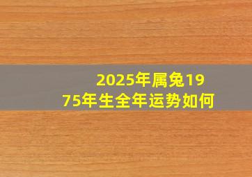 2025年属兔1975年生全年运势如何