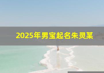 2025年男宝起名朱灵某