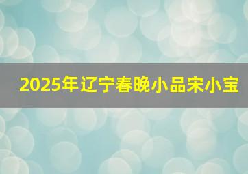 2025年辽宁春晚小品宋小宝