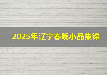 2025年辽宁春晚小品集锦