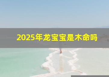 2025年龙宝宝是木命吗