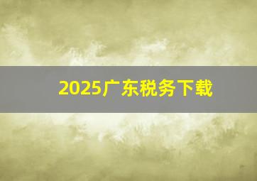 2025广东税务下载