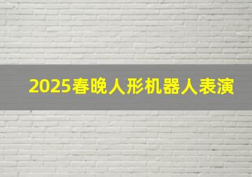 2025春晚人形机器人表演