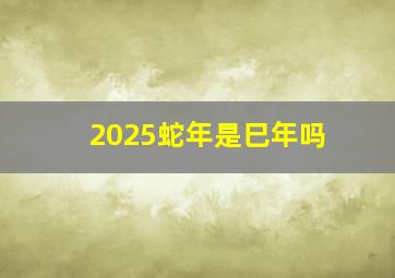 2025蛇年是巳年吗