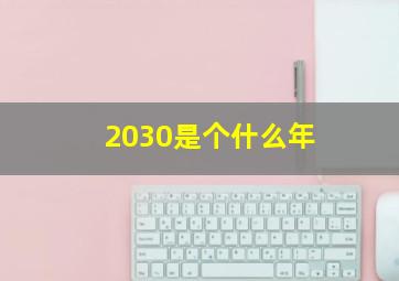 2030是个什么年