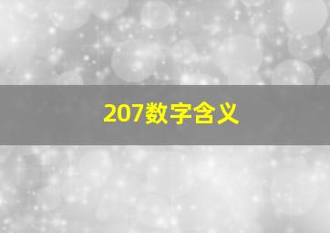 207数字含义