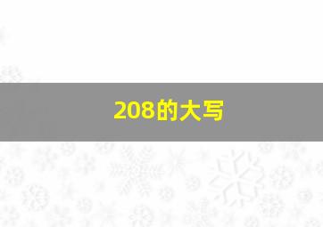 208的大写