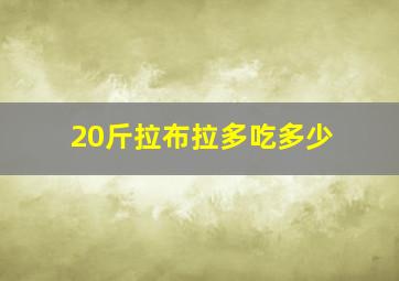 20斤拉布拉多吃多少