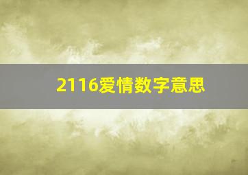 2116爱情数字意思