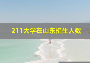 211大学在山东招生人数