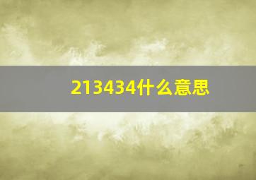 213434什么意思