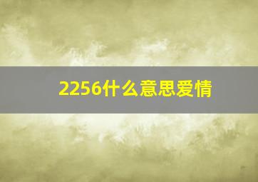 2256什么意思爱情