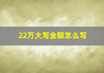 22万大写金额怎么写