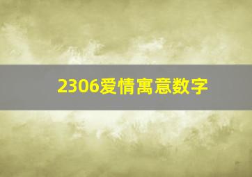 2306爱情寓意数字