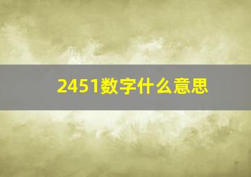 2451数字什么意思