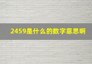 2459是什么的数字意思啊