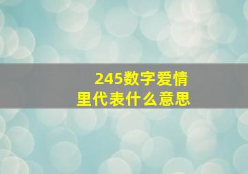 245数字爱情里代表什么意思