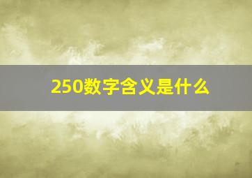 250数字含义是什么