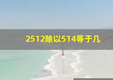 2512除以514等于几