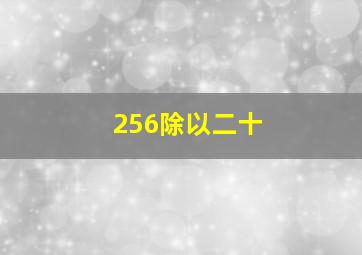 256除以二十