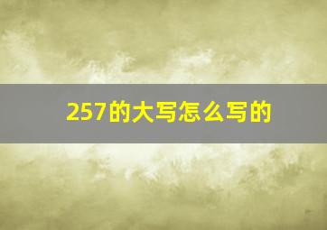 257的大写怎么写的