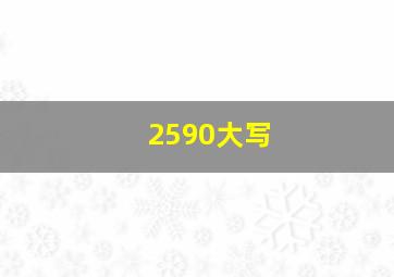 2590大写