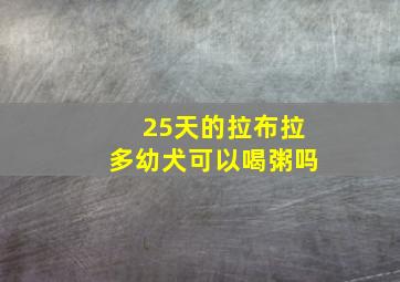 25天的拉布拉多幼犬可以喝粥吗