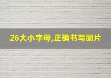 26大小字母,正确书写图片