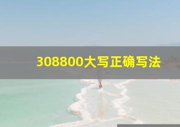 308800大写正确写法