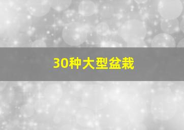 30种大型盆栽