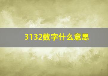 3132数字什么意思