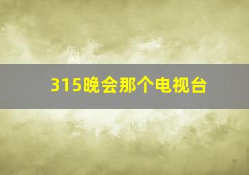 315晚会那个电视台