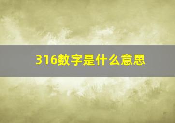 316数字是什么意思