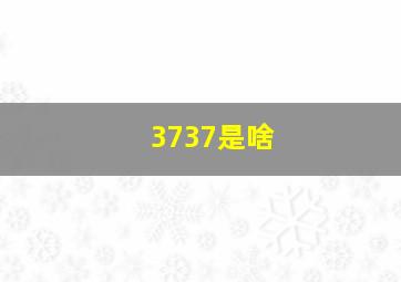 3737是啥