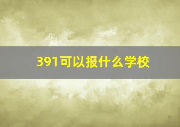 391可以报什么学校