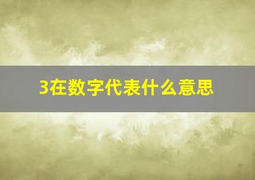 3在数字代表什么意思