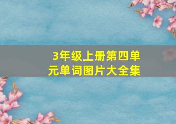 3年级上册第四单元单词图片大全集