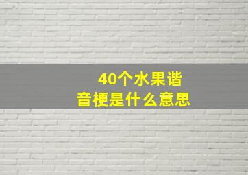 40个水果谐音梗是什么意思