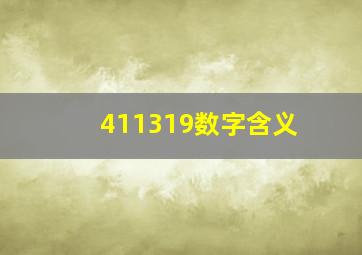 411319数字含义