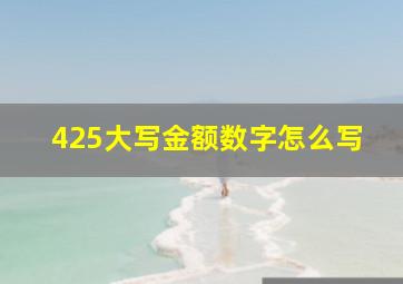 425大写金额数字怎么写