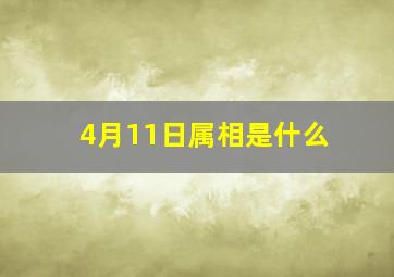 4月11日属相是什么