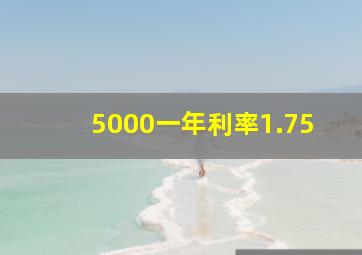 5000一年利率1.75