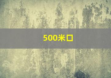 500米口