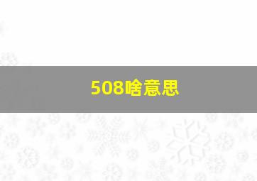 508啥意思