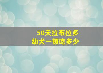 50天拉布拉多幼犬一顿吃多少