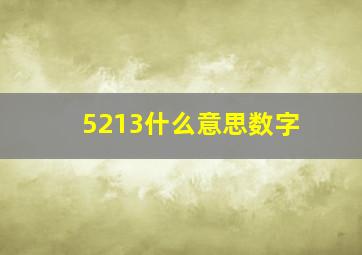 5213什么意思数字