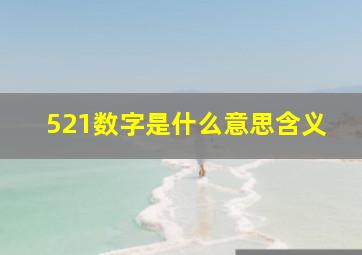 521数字是什么意思含义