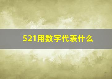 521用数字代表什么