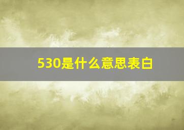 530是什么意思表白